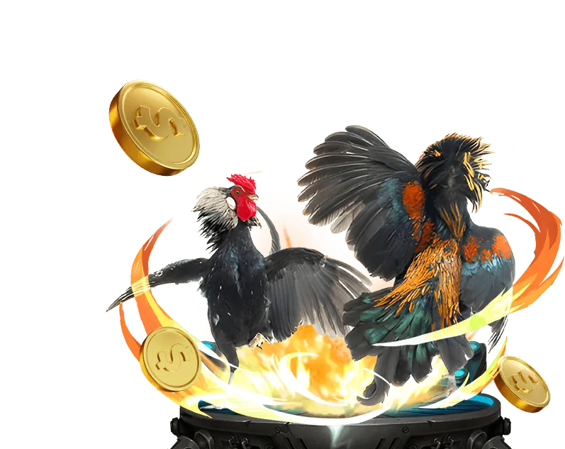 Hướng dẫn chơi Baccarat và Blackjack tại BK88